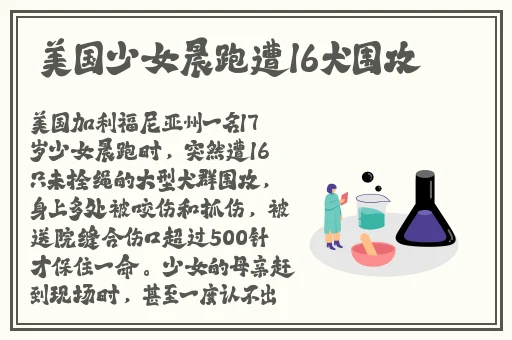 张婉莹暑假作业网站下载
